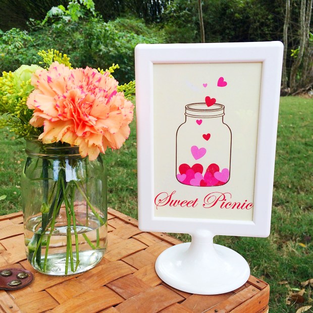 picnic-jardin-botanico-pink14