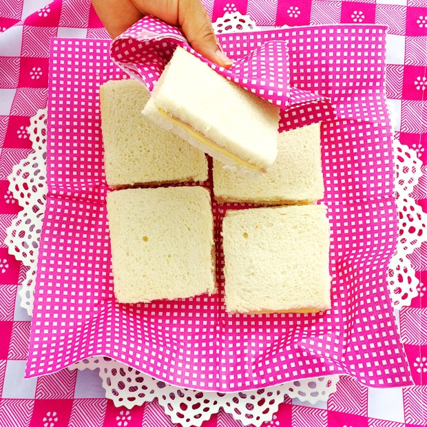 picnic-jardin-botanico-pink16