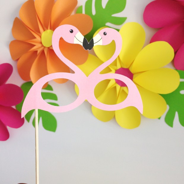 palms-spring-props-2